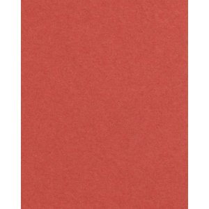 HNFD 20 divisori per scatole fotografiche Rosso Veneziano per scatole fotografiche 10x15 cm