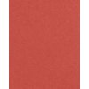 HNFD 20 divisori per scatole fotografiche Rosso Veneziano per scatole fotografiche 10x15 cm