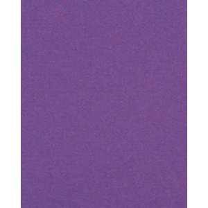 HNFD 20 divisori per scatole fotografiche Lilla Scuro per scatole fotografiche 10x15 cm