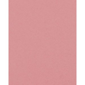 HNFD 20 Divisori per scatole fotografiche Lampone per scatole fotografiche 10x15 cm