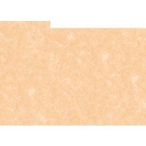 HNFD 20 divisori per scatole fotografiche Perg rosa per...