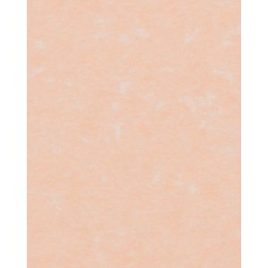 HNFD 20 divisori per scatole fotografiche Perg rosa per scatole fotografiche 10x15 cm
