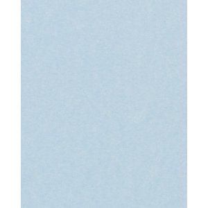 HNFD 20 schede separatrici per scatole fotografiche Perg Blue per scatole fotografiche 10x15 cm