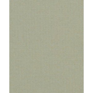 HNFD 20 divisori per scatole fotografiche Pistacchio per scatole fotografiche 10x15 cm
