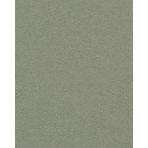 HNFD 20 divisori per scatole fotografiche Verda Tundra per scatole fotografiche 10x15 cm