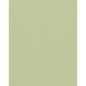 HNFD 20 divisori per scatole fotografiche Verde Alga per scatole fotografiche 10x15 cm