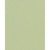 HNFD 20 divisori per scatole fotografiche Verde Alga per scatole fotografiche 10x15 cm