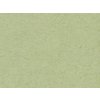 HNFD 20 divisori per scatole fotografiche Verde Alga per scatole fotografiche 10x15 cm
