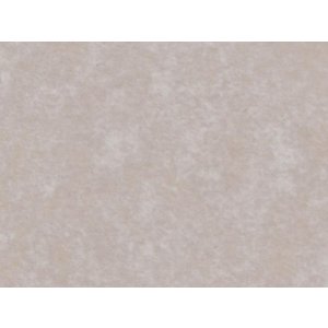 HNFD 20 divisori per scatole fotografiche Perg Fumo di Londra per scatole fotografiche 10x15 cm