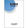Nielsen Telaio in alluminio Accent 70x100 cm argento opaco