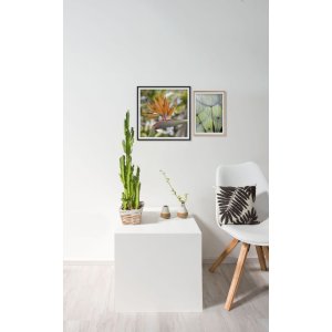 Cornice in alluminio 70x100 cm nero opaco