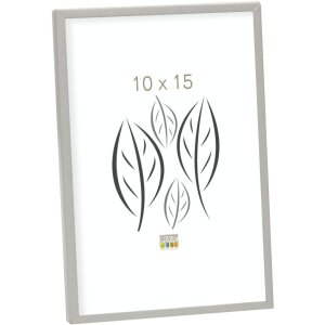 S58MF7 Cornice in metallo argentato 15,0 x20,0 cm