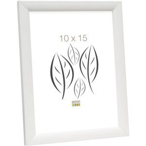 Cornice in legno S54S bianco 20,0 x30,0 cm