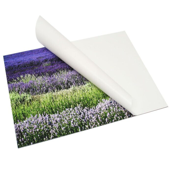 Deknudt S43SD DKbond autoadesivo 60x80 cm