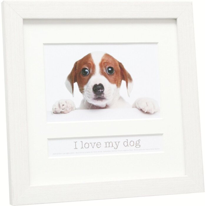 Cornice per animali 10x15 cm Cane bianco