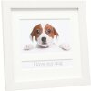 Cornice per animali 10x15 cm Cane bianco