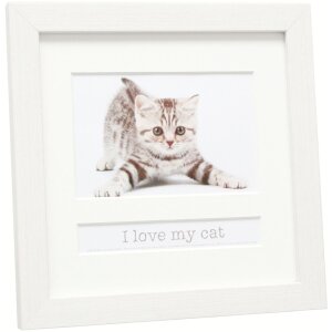 Telaio per animali Deknudt Gatto 10x15 cm bianco