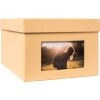 HNFD XL Photo Box Kandra 700 foto 13x18 cm melone