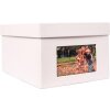 xl foto box Kandra 700 foto 13x18 cm grigio ghiaccio