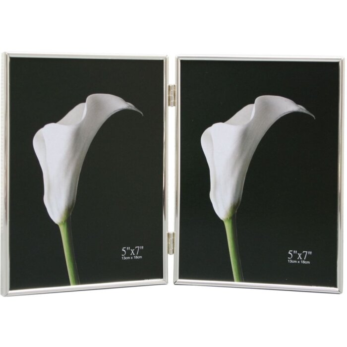 Doppio telaio S58MT4 argento 2 foto