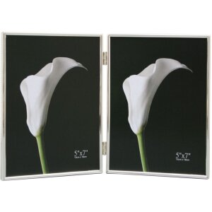 Doppio telaio S58MT4 argento 2 foto