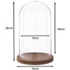Clayre & Eef 6GL1946 Campana di vetro 28 cm Legno Vetro Rotondo