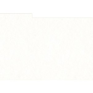 HNFD 12 divisori per scatole fotografiche 13x18 cm -...