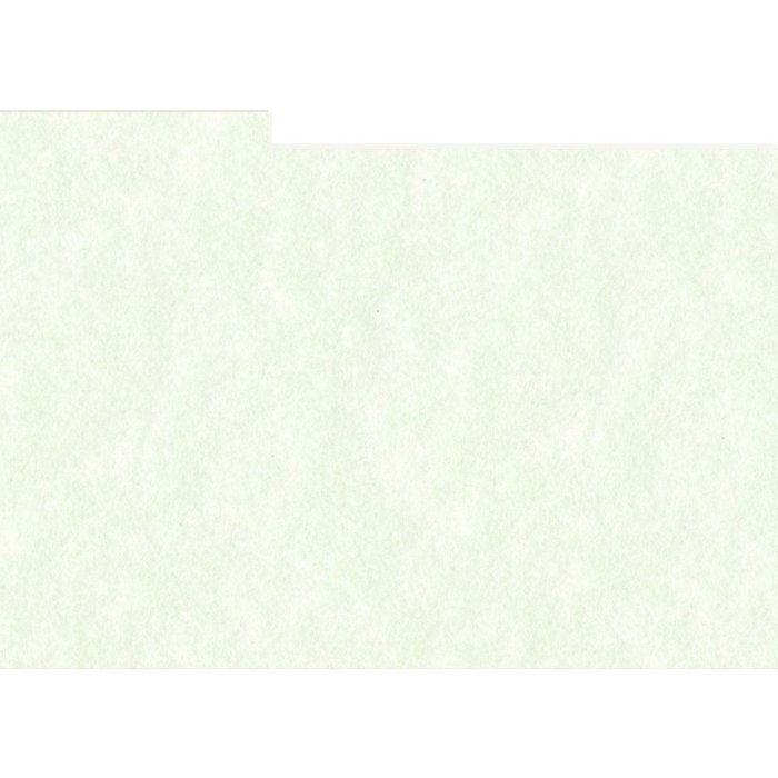 HNFD 12 Photo Box Dividers 13x18 cm - Perg Verdino
