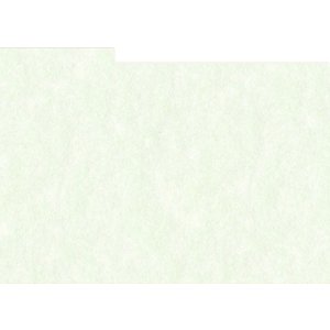 HNFD 12 Photo Box Dividers 13x18 cm - Perg Verdino