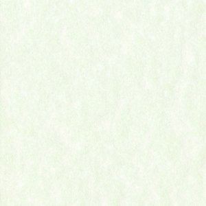 HNFD 12 Photo Box Dividers 13x18 cm - Perg Verdino