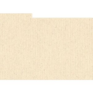 HNFD 12 divisori per scatole fotografiche 13x18 cm -...