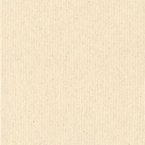 HNFD 12 divisori per scatole fotografiche 13x18 cm - Avorio di Castiglia