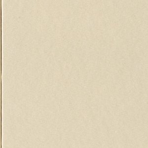 HNFD 12 cartoncini divisori per scatole fotografiche 13x18 cm - Panna