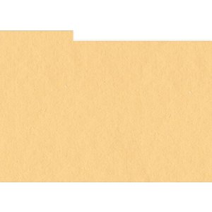 HNFD 12 divisori per scatole fotografiche 13x18 cm -...