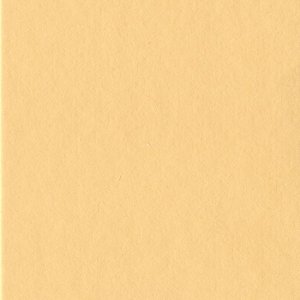 HNFD 12 divisori per scatole fotografiche 13x18 cm - Albicocca