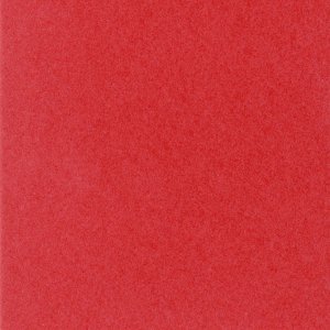 HNFD 12 Divisori Photo Box 13x18 cm - Rosso Ciliegia