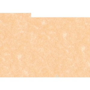 HNFD 12 divisori per scatole fotografiche 13x18 cm -...