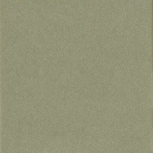 HNFD 12 cartoncini divisori per scatole fotografiche 13x18 cm - Verda Tundra