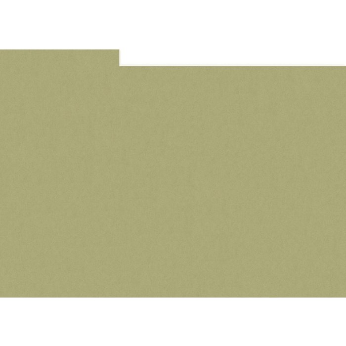 HNFD 12 cartoncini divisori per scatole fotografiche 13x18 cm - Verde Alga
