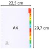 Indice numerato stampato, cartoncino bianco 160g, 10 schede - A4 bianco