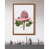 Cornice per quadri Bohemian 30x40 cm faggio