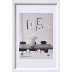Walther Telaio in plastica stile acciaio 40x60 cm bianco...