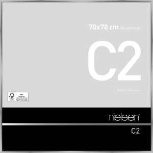 Telaio in alluminio C2 argento 70x70 cm