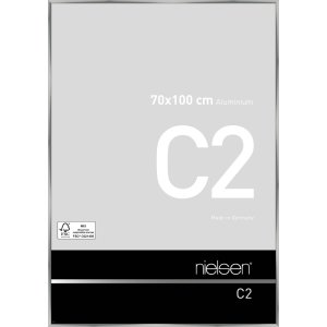 Telaio in alluminio C2 argento 70x100 cm