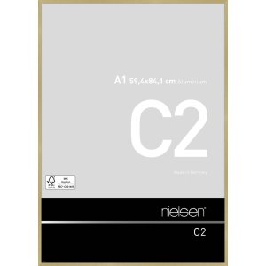 Telaio in alluminio C2 struttura oro opaco 60x84 cm
