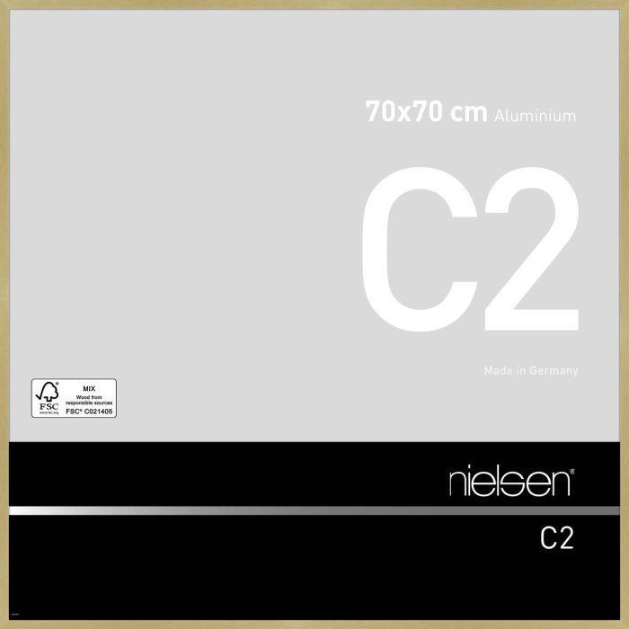 Telaio in alluminio C2 struttura oro opaco 70x70 cm