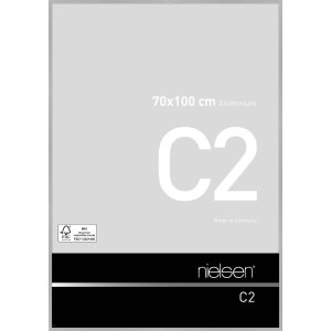 Telaio in alluminio C2 struttura argento opaco 70x100 cm