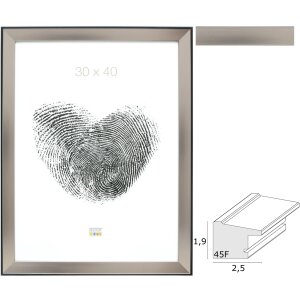 Cornice per foto in plastica argento S45FD2