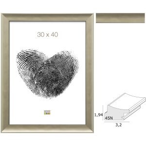 Cornice per foto in plastica argento S45ND2
