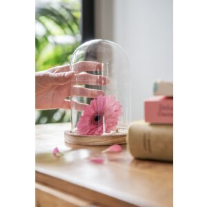 Campana di vetro Clayre & Eef 6GL2168 - Ø...